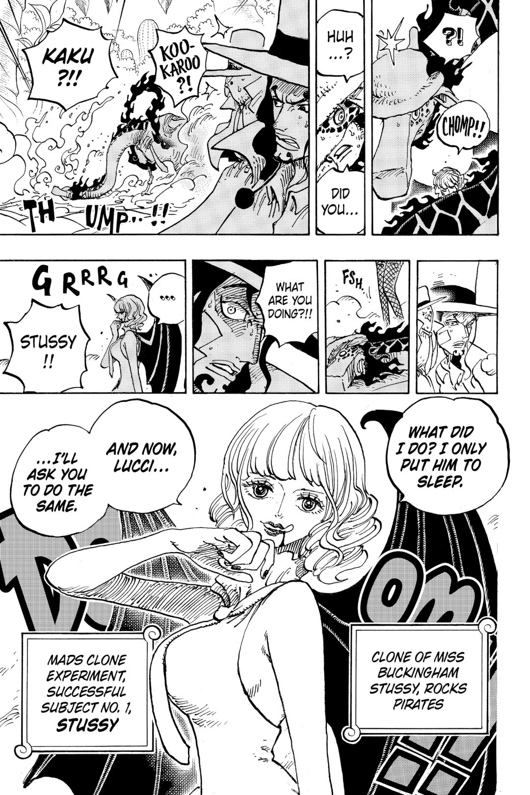 One Piece, Chapter 1072 image 16